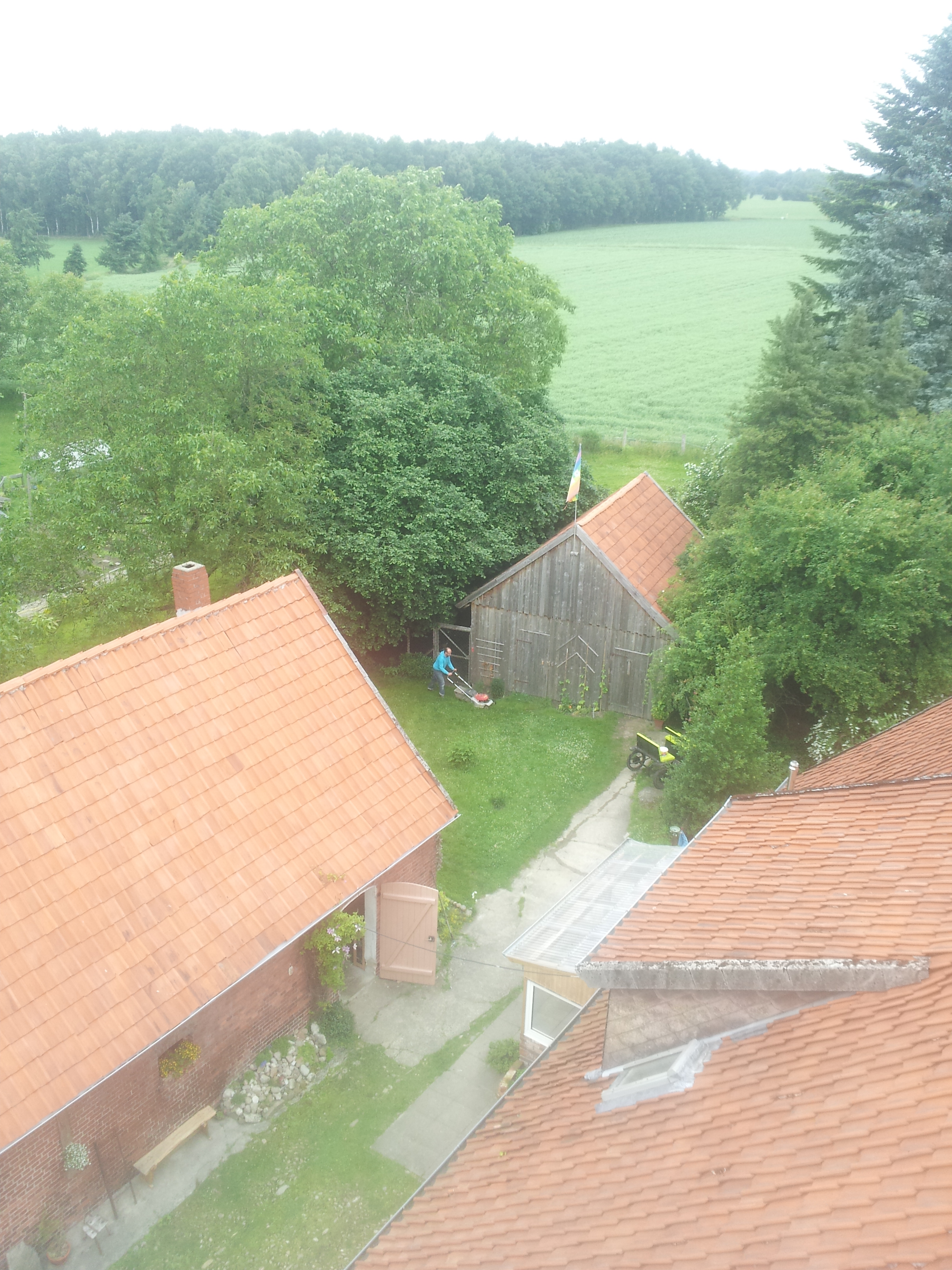 Single visselhövede